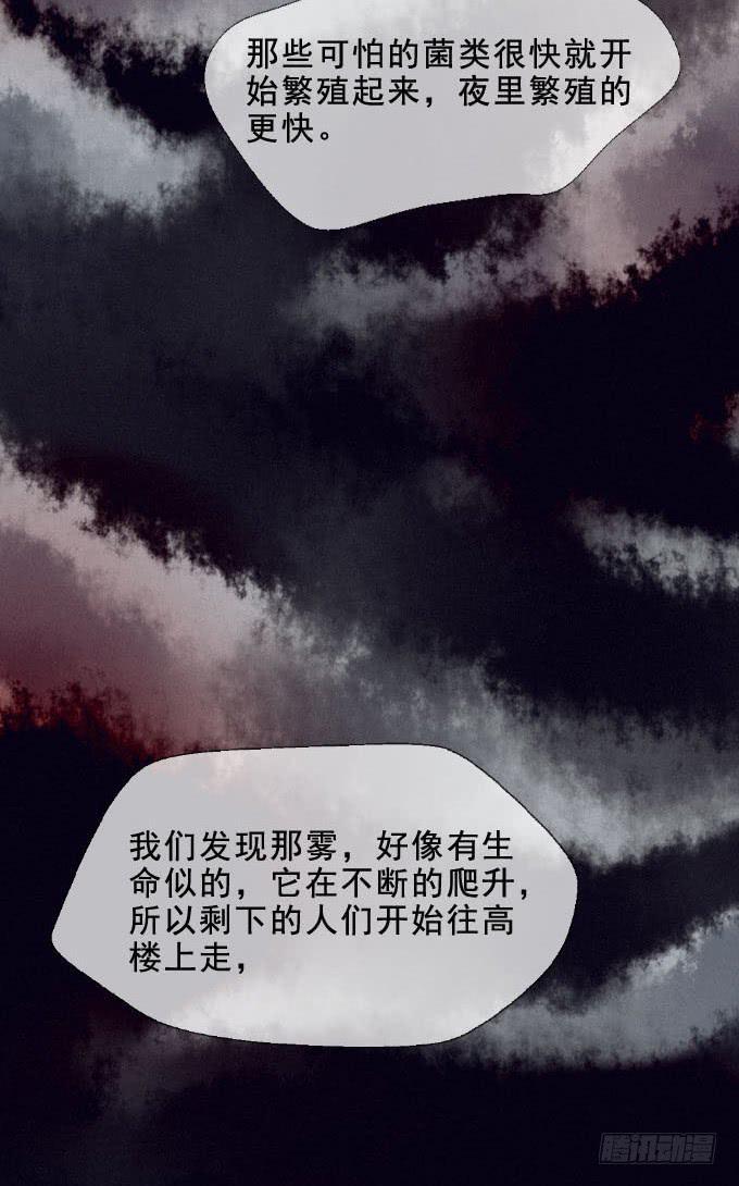 清晨大雾34