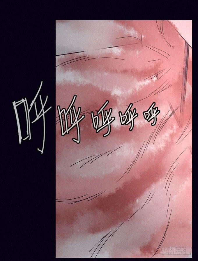 彼岸花34