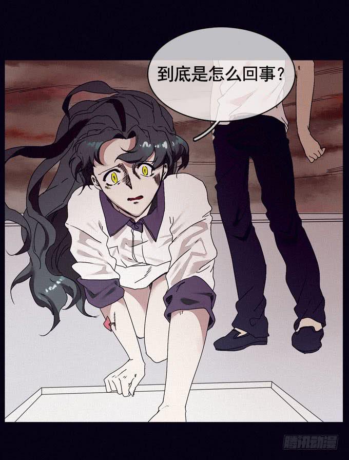 雾里看花30