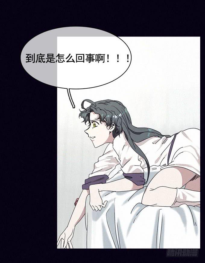 雾里看花31