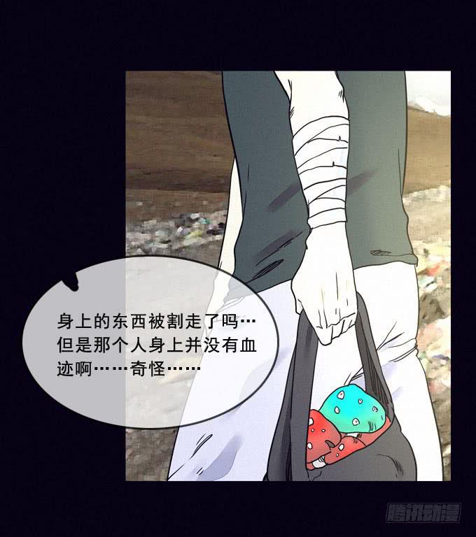 食物16