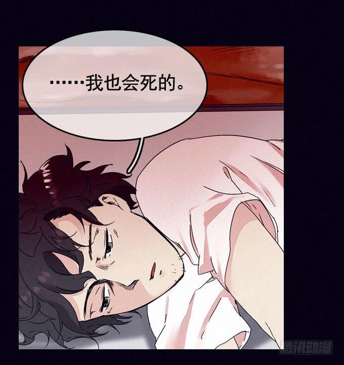 彼岸花86