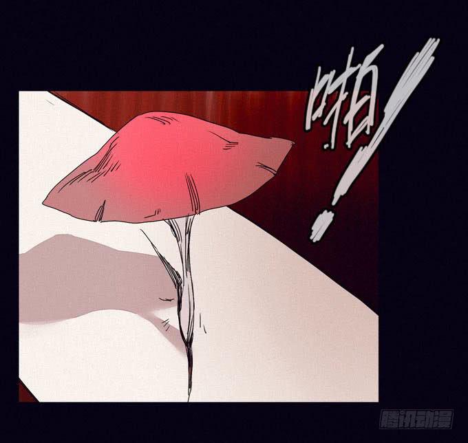 雾里看花28