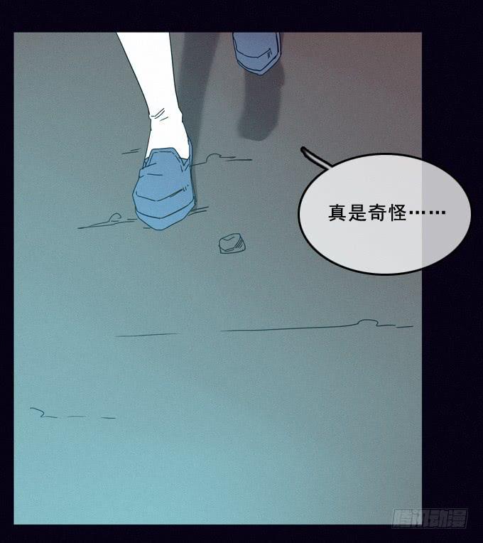 新面孔8