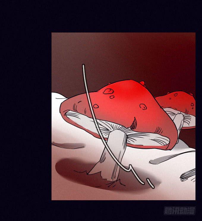 食物14