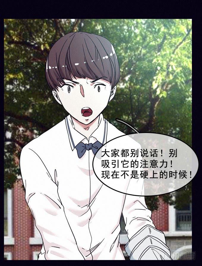 阴差阳错15