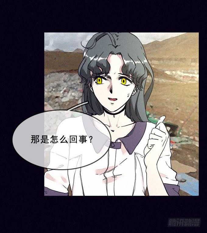 食物18