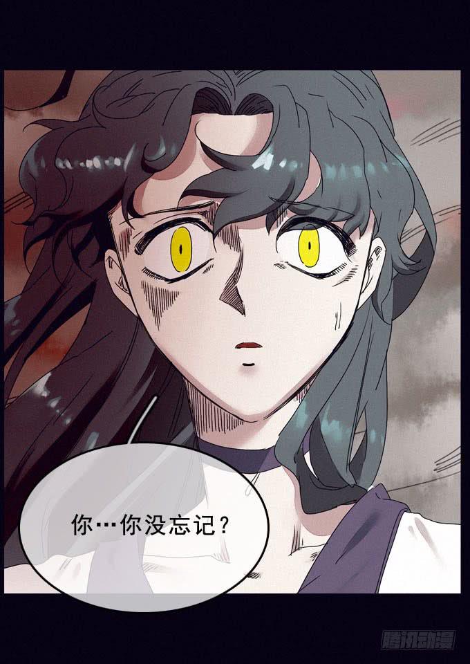 雾里看花18