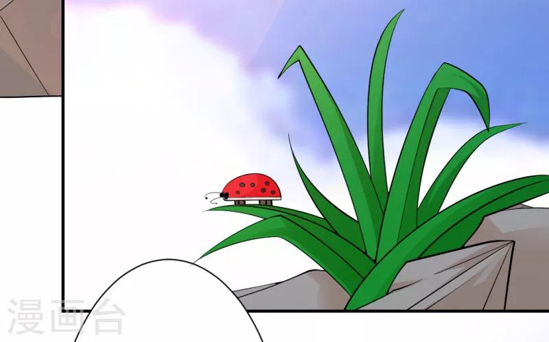 第24话3