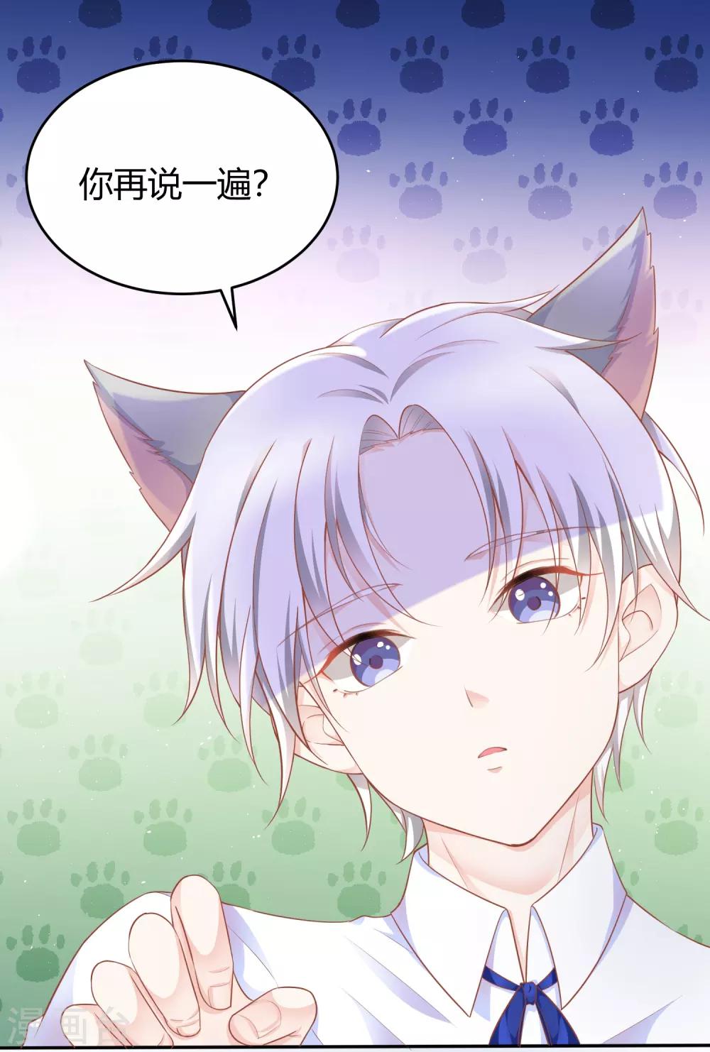 番外1 选猫？还是选我？6