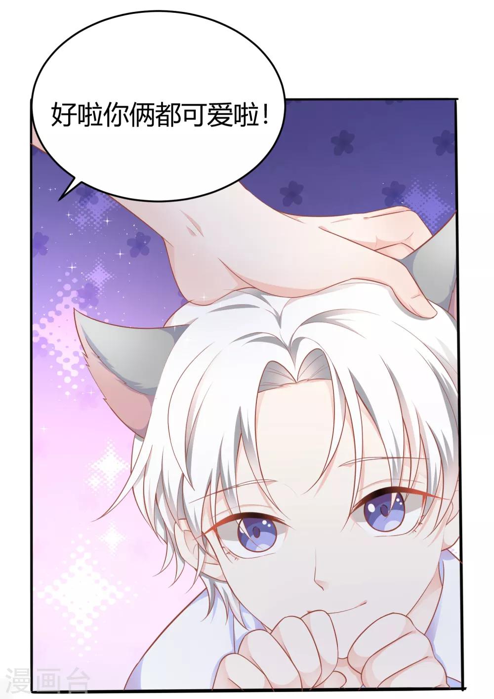 番外1 选猫？还是选我？8