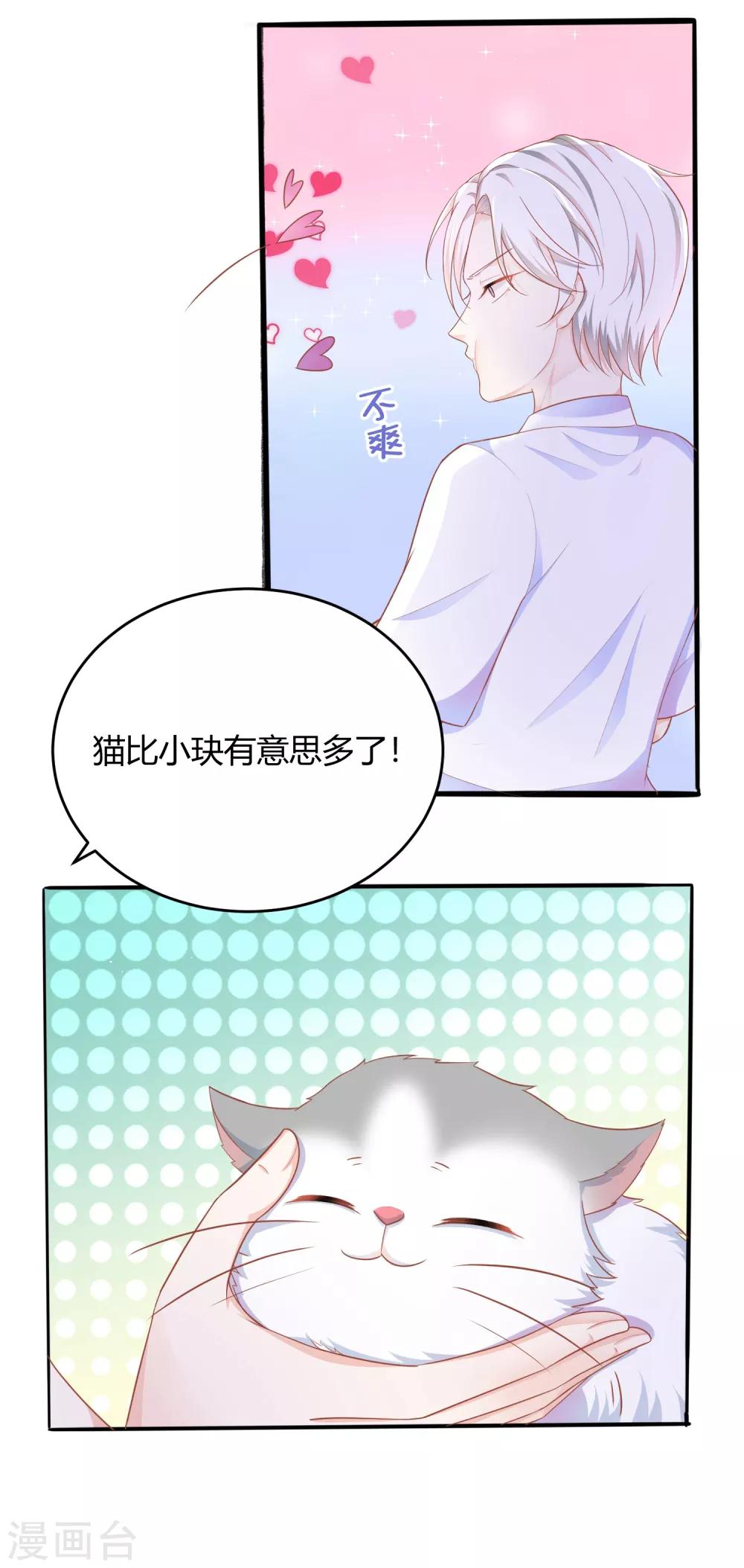 番外1 选猫？还是选我？4