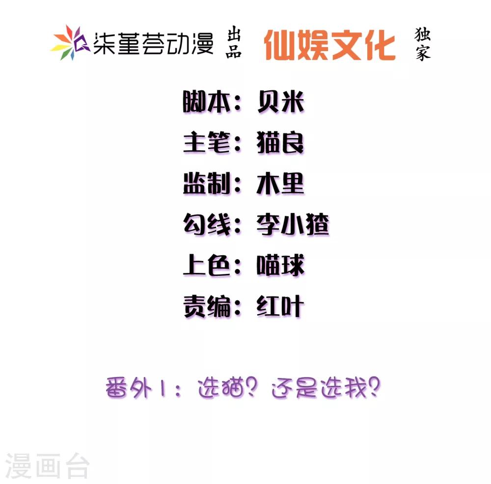 番外1 选猫？还是选我？1
