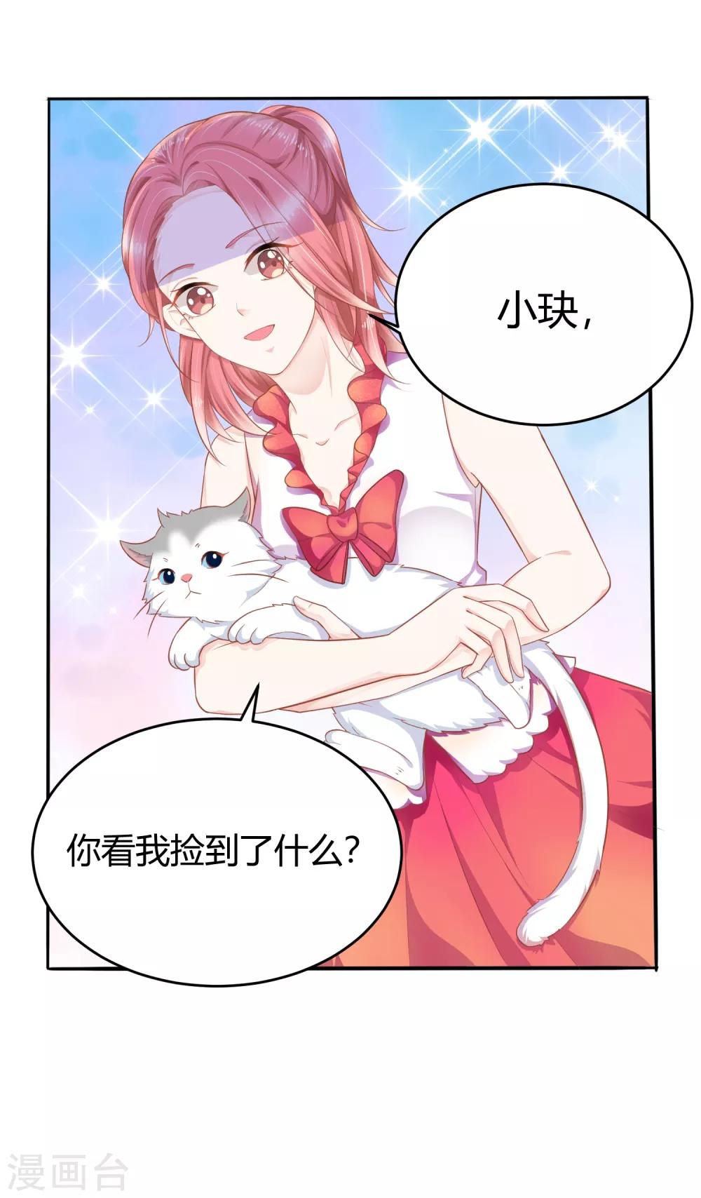 番外1 选猫？还是选我？2