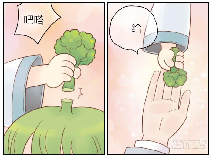 【第06话】西兰花出场12