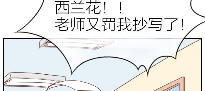 【第14话】进击的西兰花10