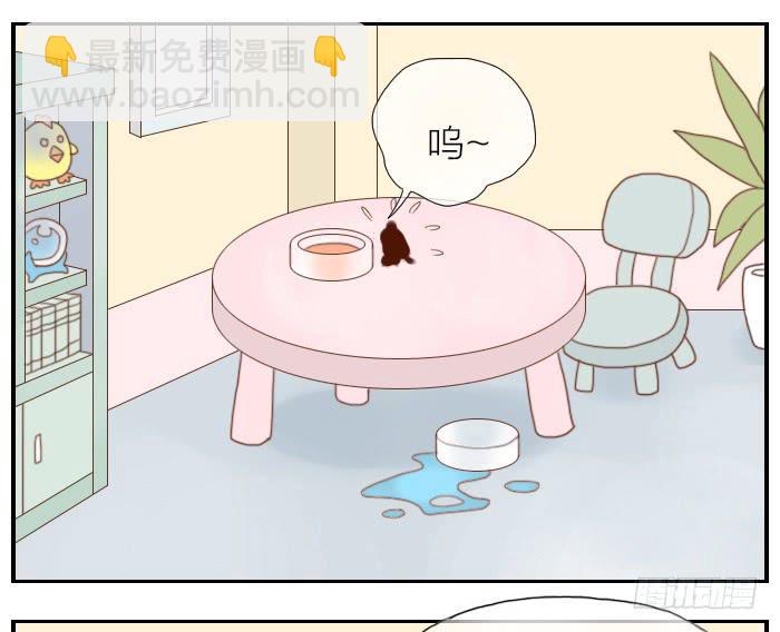 【第21话】神秘的药18