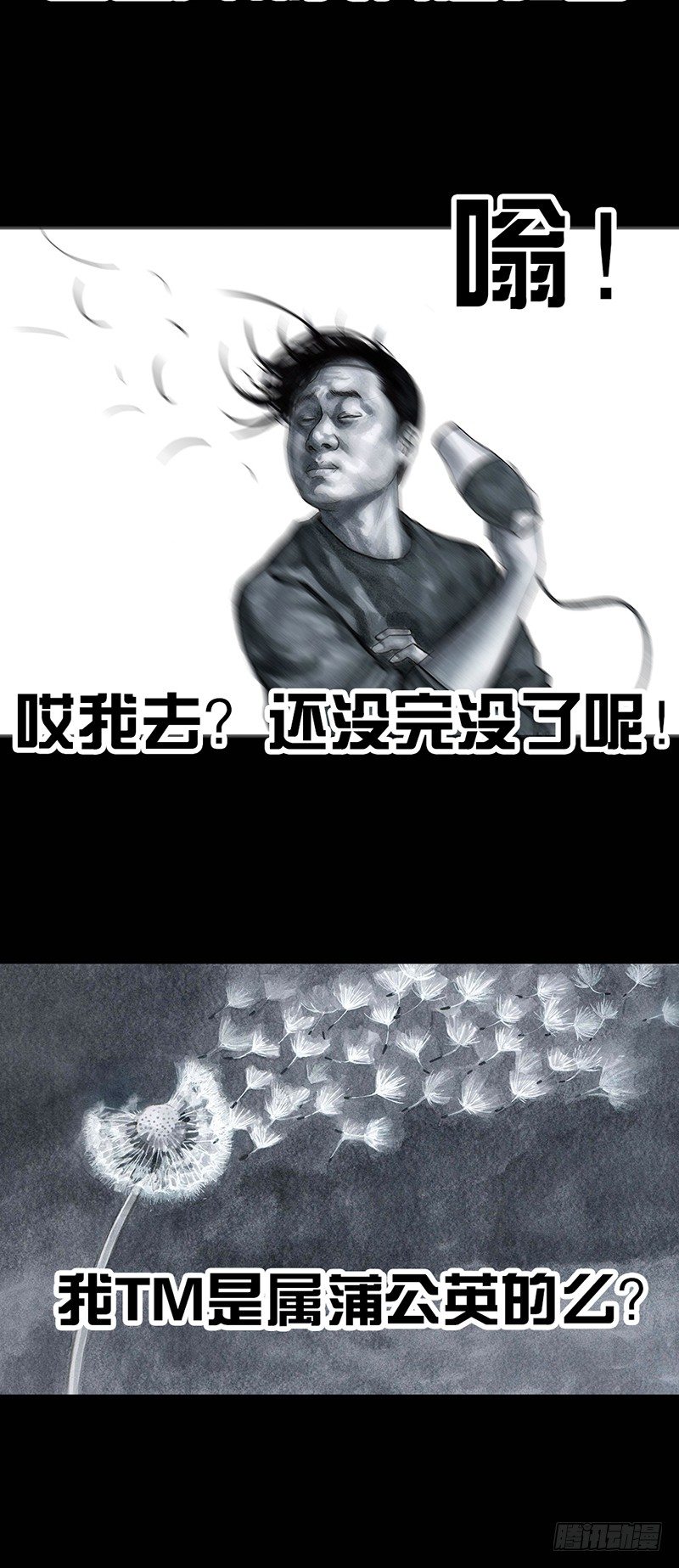 秃如其来10
