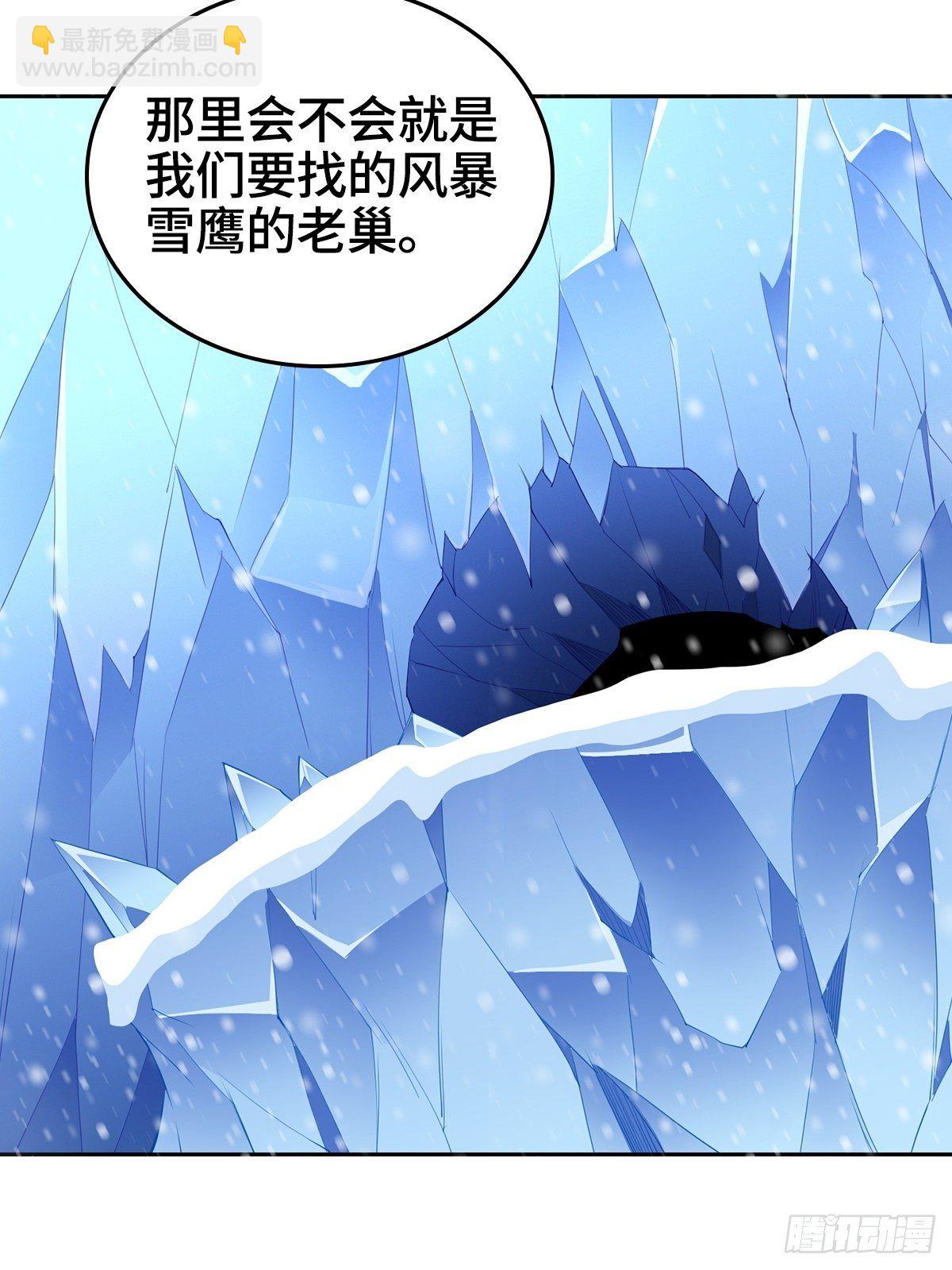 风暴雪鹰10