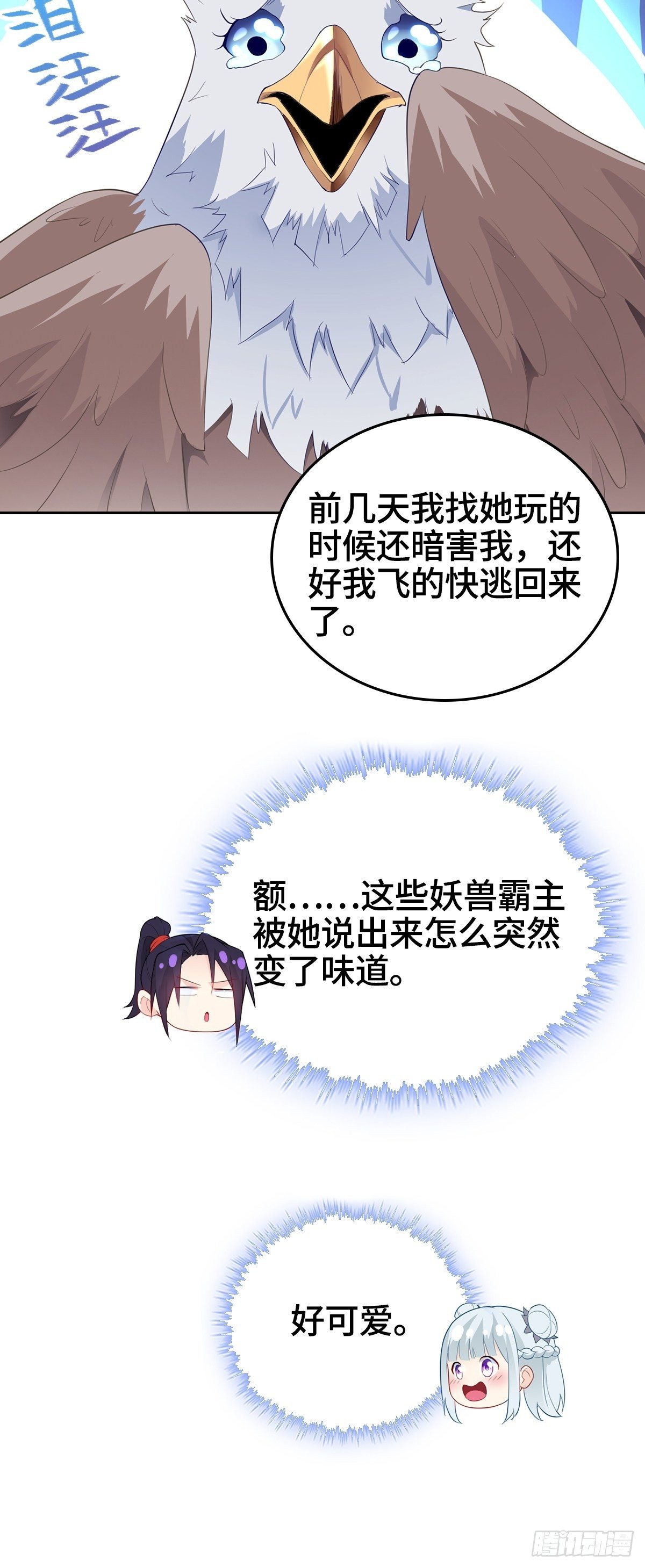 风暴雪鹰40