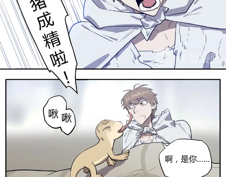 第3话 是宠物？还是干粮？7