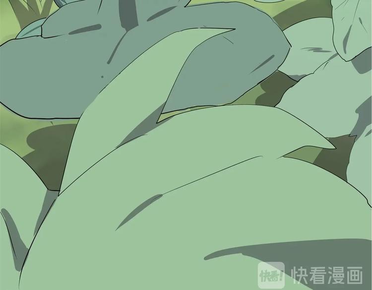 第8话 反季节水果99