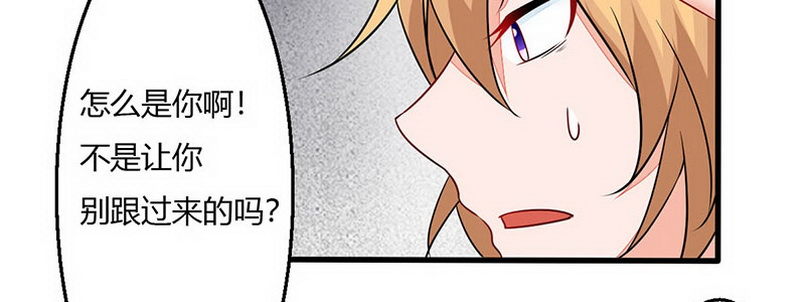 012.手机给你142
