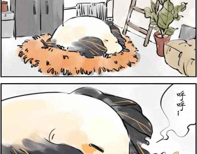 第3话 U盘妖2
