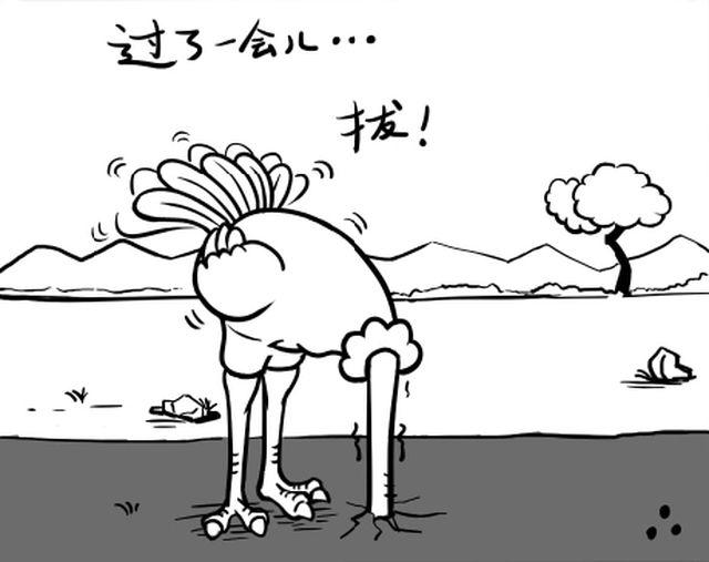 第八回 不好了＆鸵鸟啊9