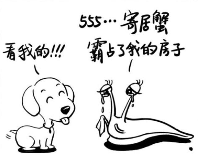 第六回 愿望啊＆不走不走8