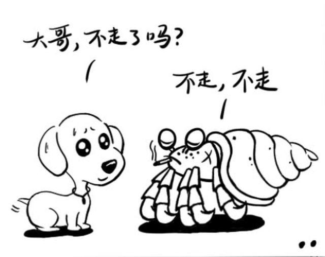 第六回 愿望啊＆不走不走9