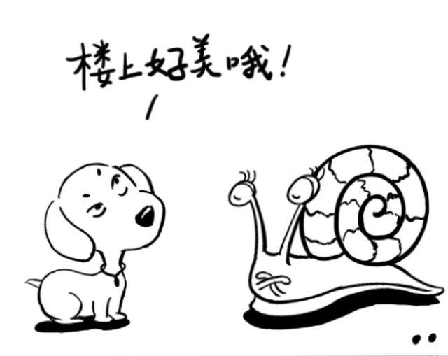 第五回 不怕不怕＆小汪与小蜗＆以牙还牙＆星愿13