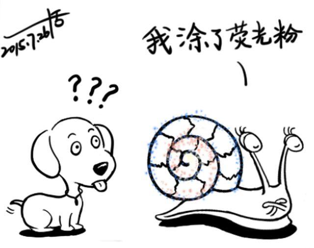 第五回 不怕不怕＆小汪与小蜗＆以牙还牙＆星愿14