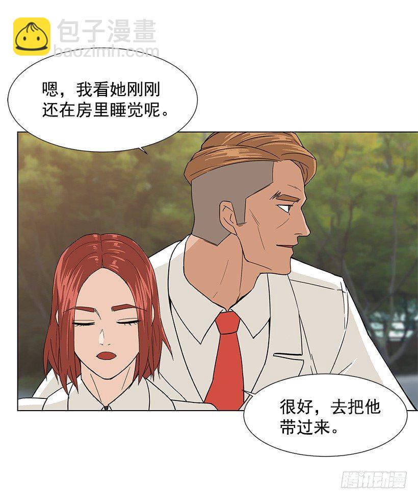 专家的手法4