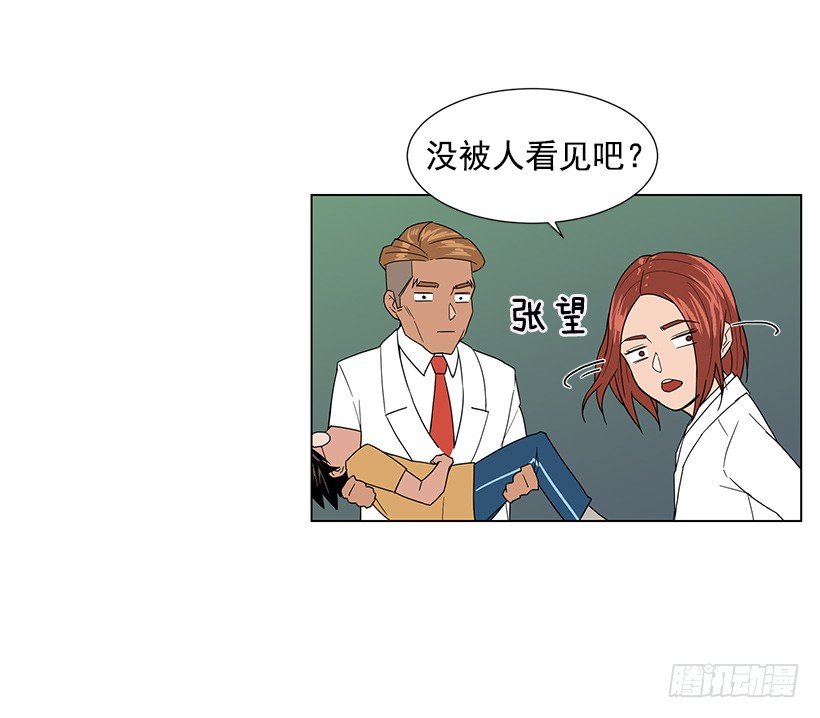 专家的手法13