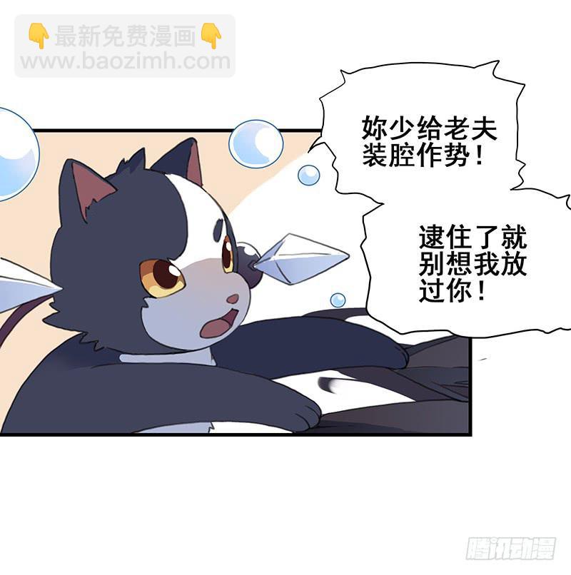 2.称为黑猫的魔法师1