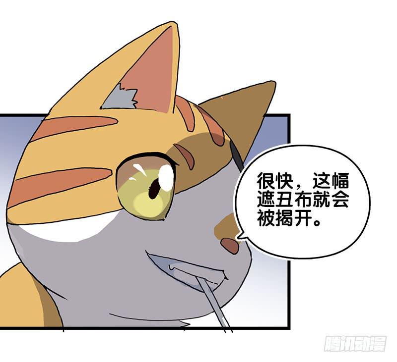 13.猫老大14