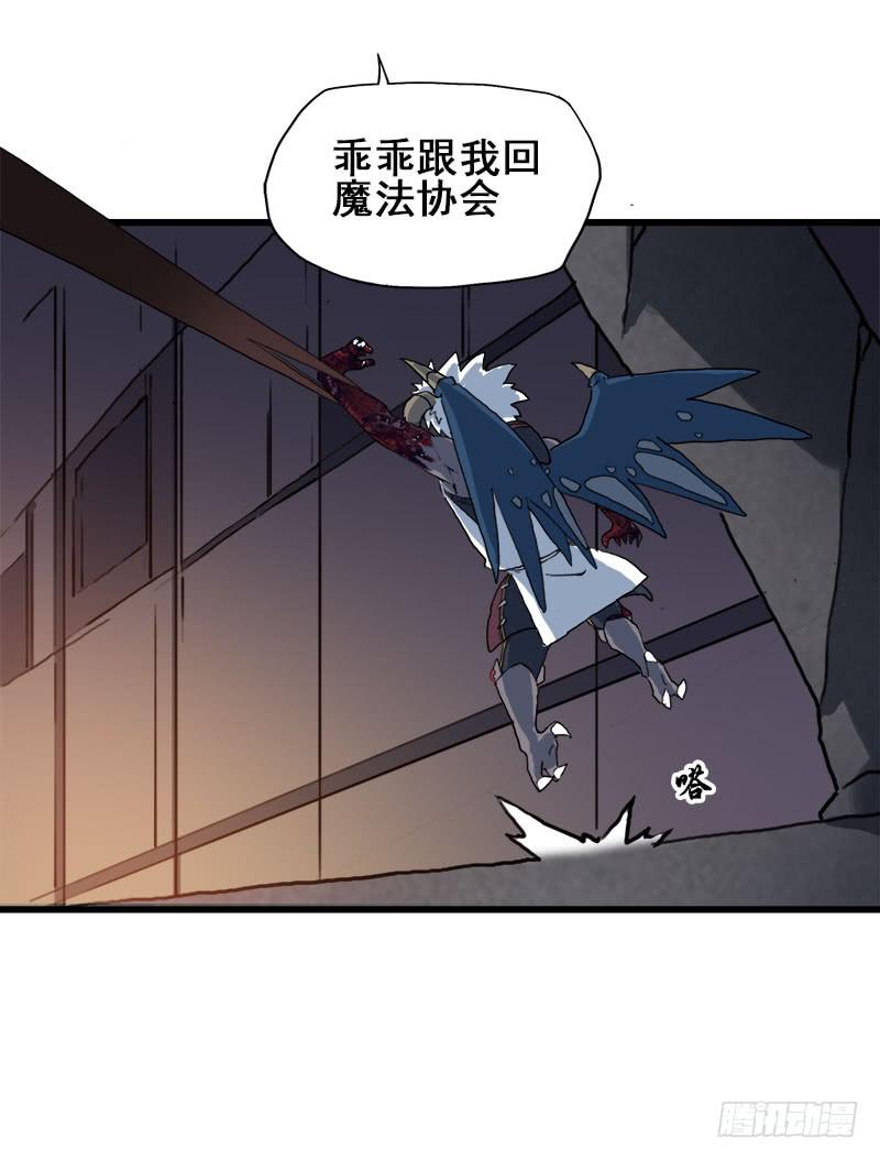 11.货真价实的黑猫33