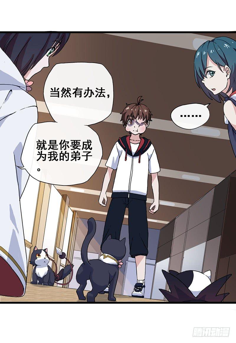 3.黑猫的继承者22