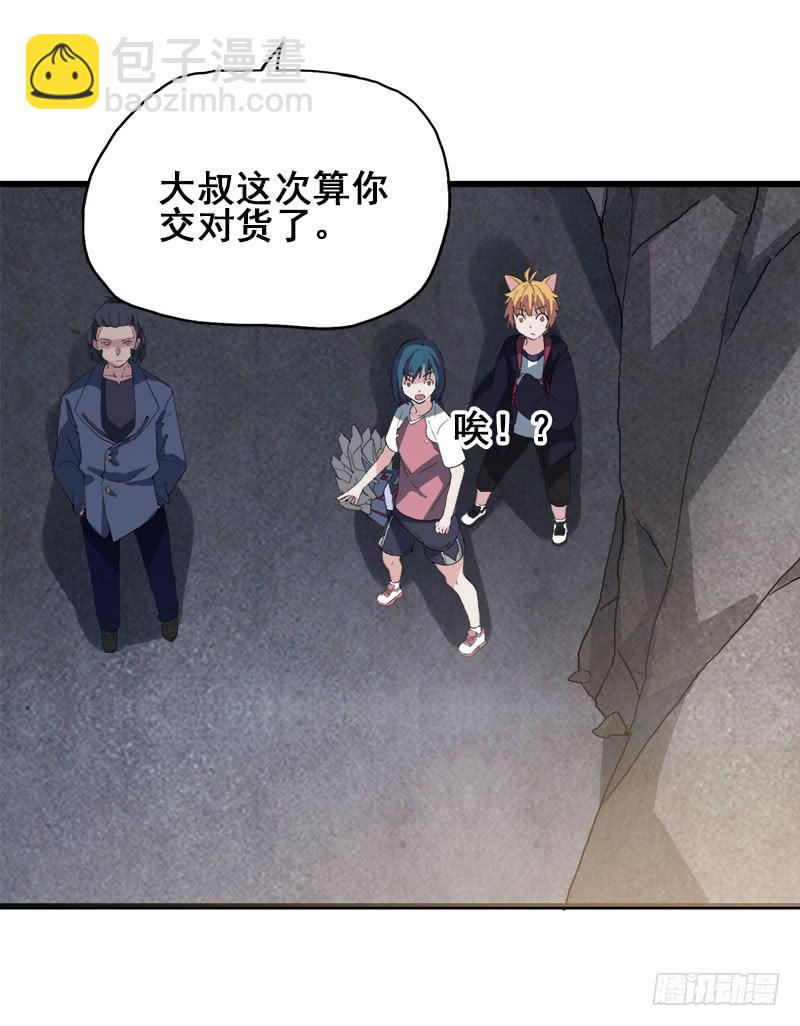 11.货真价实的黑猫41