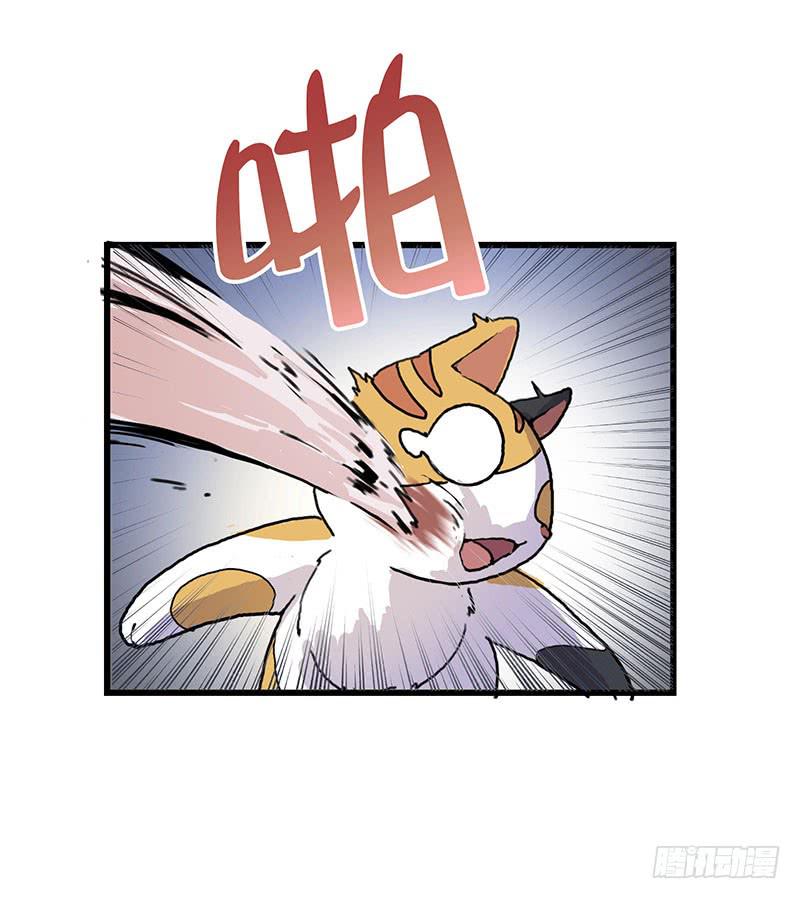 3.黑猫的继承者7