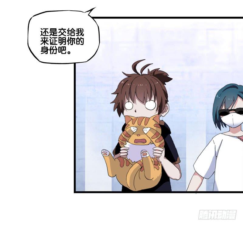 25.看！我有猫。35