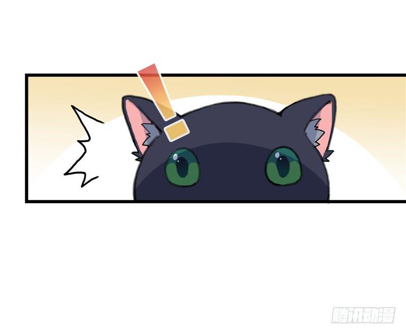 1.大魔法师55