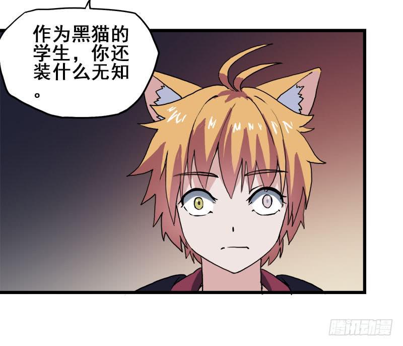 12.魔法师王的力量15