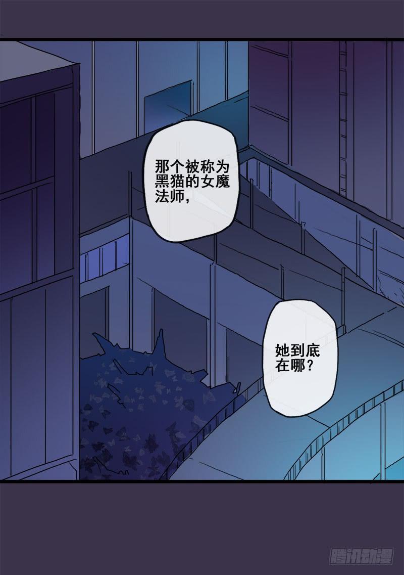 4.黑猫家的访客1