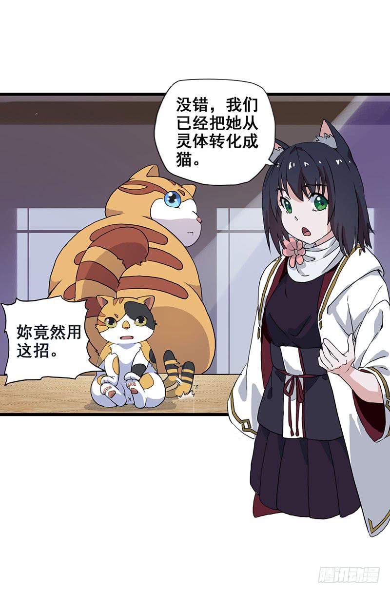 3.黑猫的继承者5