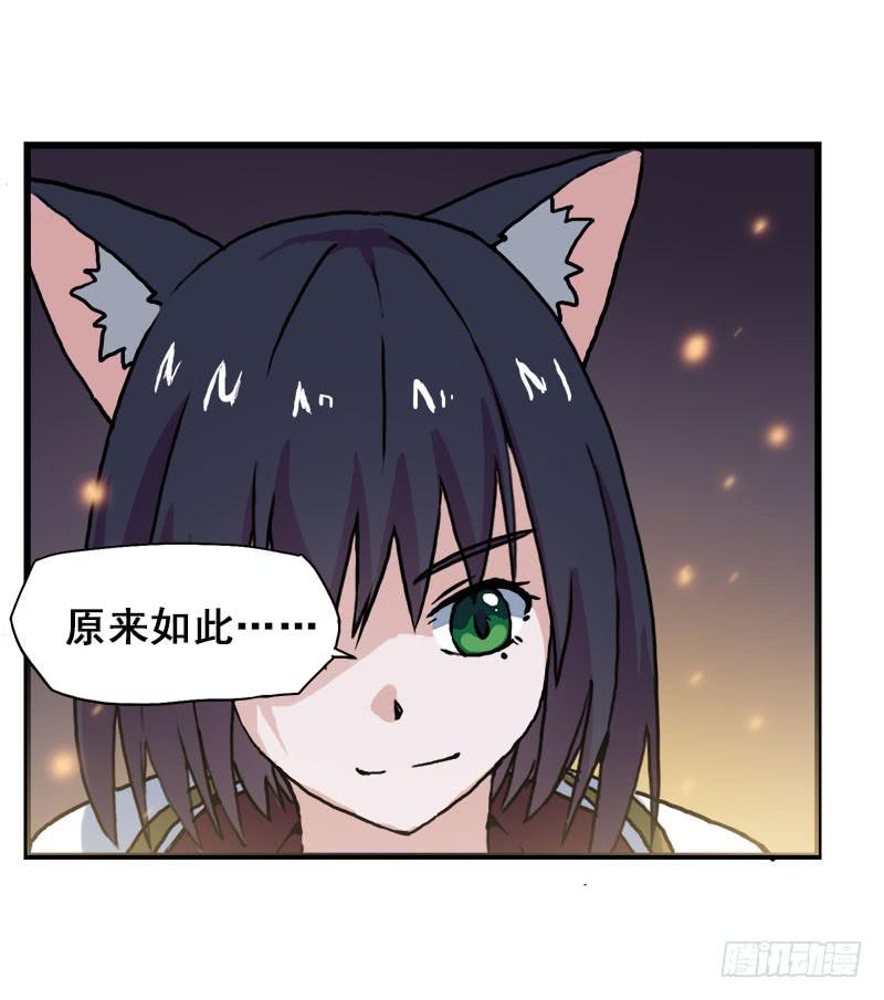 11.货真价实的黑猫43