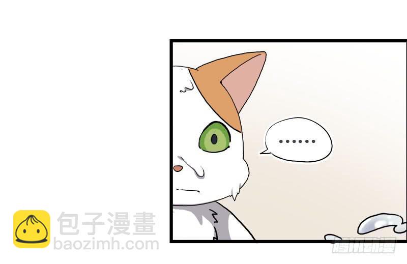 13.猫老大7