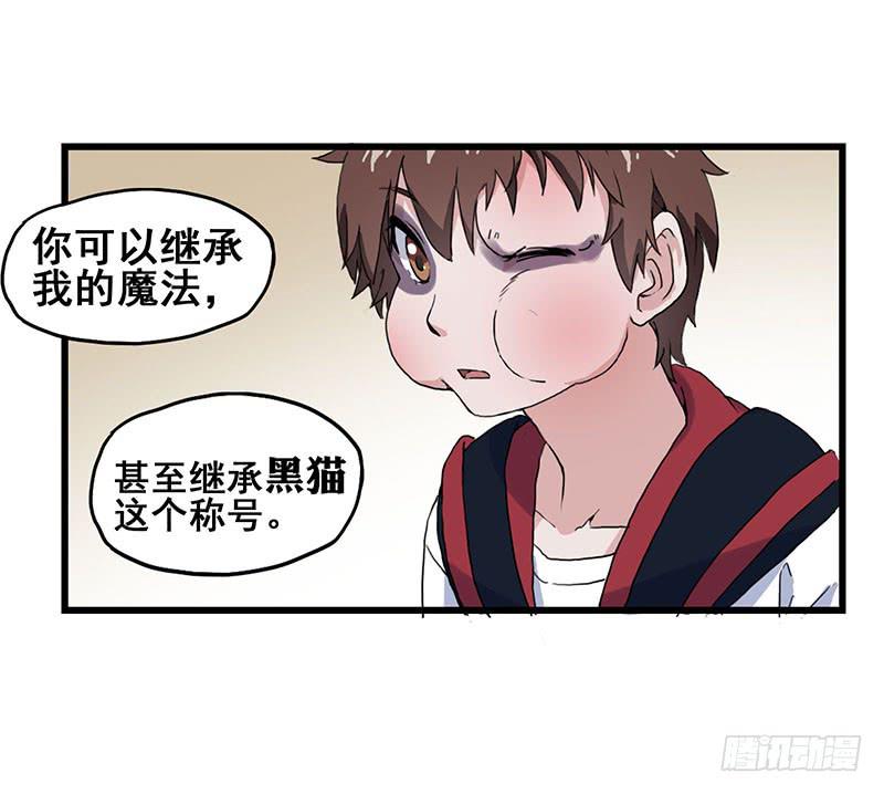 3.黑猫的继承者23