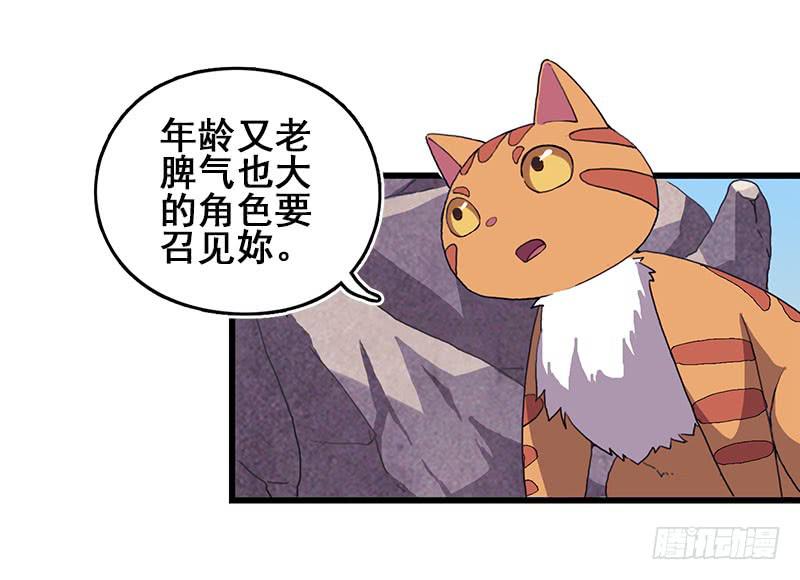 13.猫老大24